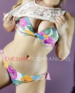 Проститутка Felicity